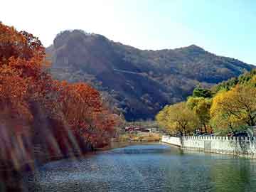 新澳门二四六天天开奖，校花当道